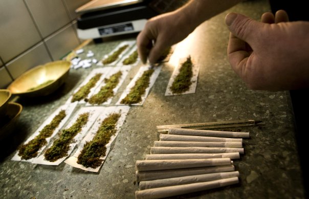Rolling tray with ground flower lines ready to roll