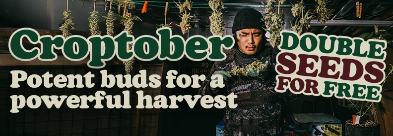 Croptober seed deals — double seeds for free